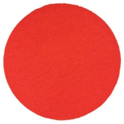 Éponge Plateau Synthétique Fine Talocheuse électrique EPG400 Ø 370 Mm