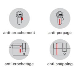 Cylindre Thirard Transit 1 - Nickel Velours - 50 X 50 Mm -Célèbre Outillage Magasin transit