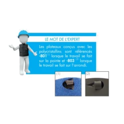 Plateau Polycristallin Ponçage Colle Résine PNC125803 Ø125mm 22,23mm -Célèbre Outillage Magasin travail pointe arrondi diam 1